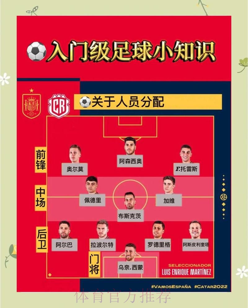 世界杯最新投注入口与权威指南一览