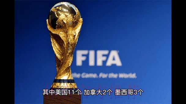 2026世界杯官方实时动态与前瞻分析